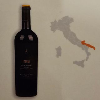 I Muri negroamaro