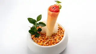 Cono Maguro