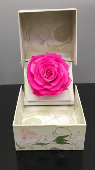 Rosa eterna premium color rosa