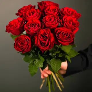 Rose gambo lungo 