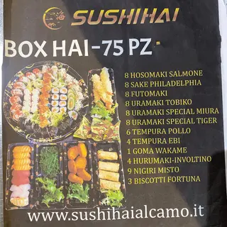 Box hai 75PZ