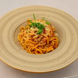 Bolognese