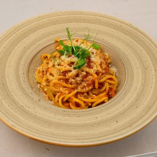 Bolognese