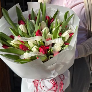 LOVE KISS - 51 Tulipanes