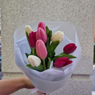 Тюльпан 9 шт