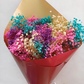 Bouquet Gibsofil séchées 