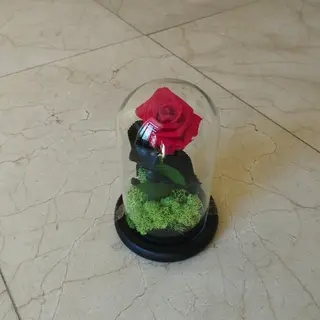 Cúpula de rosa roja preservada  tamaño pequeño