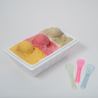 Helado Artesanal con envase isotérmico (500 Ml.)