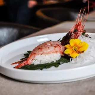 Sushi nigiri amaebi