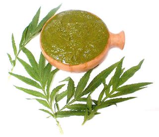 Salsa Huacatay (Verde)