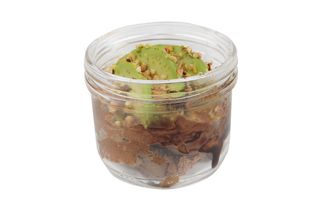 Mousse al cioccolato e avocado