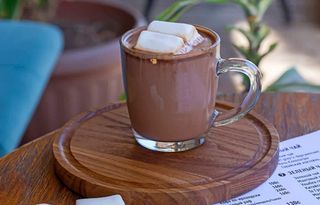 Горячий шоколад с маршмеллоу (350 мл.)