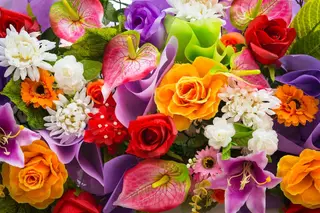 Ramo Exclusivo Del Florista