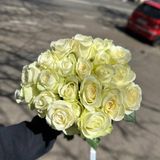 21 біла троянда