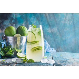 Lemon Mojito