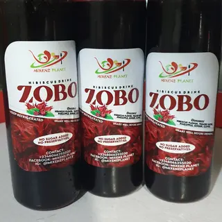 Mixenz Planet Hibiscus Drink 