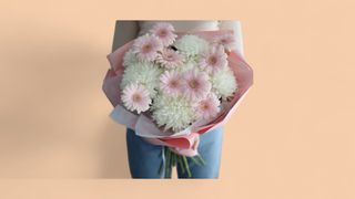 გერბერა- ქრიზანთემა მიქსი