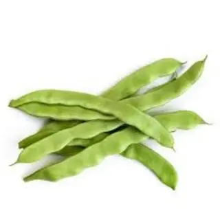 Judia Verde Kilo