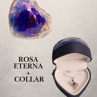 Rosa eterna + collar
