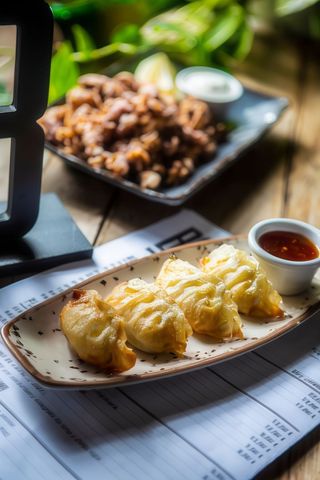 Gyozas de carne y verduras (4 uds.)