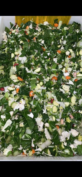 Minestrone pronto 500 gr