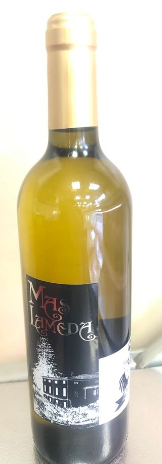 Vino Blanco Turbio (75 cl.)