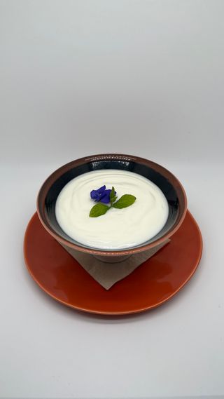 Yogurt Casero de Coco 