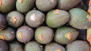 Avocado Hass 1 pezzo