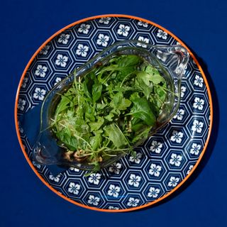 LASAÑA VEGGIE (VEGANA)