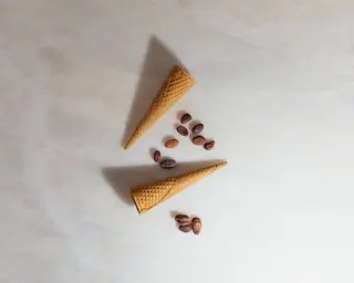 Cone Vegan