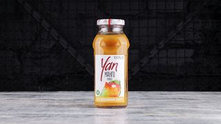 Сік манго YAN 0,25 л