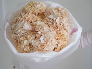 Soft  Hydrangea  S Size