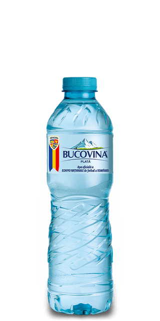 APA PLATA BUCOVINA 500ml