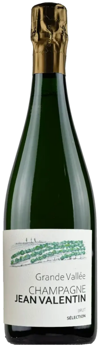 Jean Valentin Et Fils