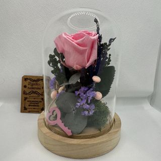 Cúpula con leds y rosa ETERNA ROSA