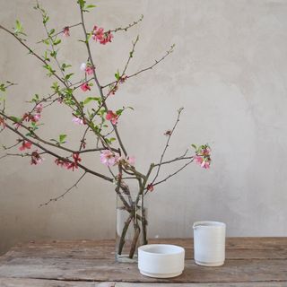 Ramo de 3 baras de Membrillo japonés