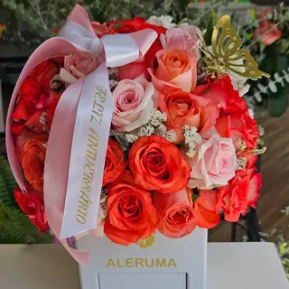 CAIXA DELUXE