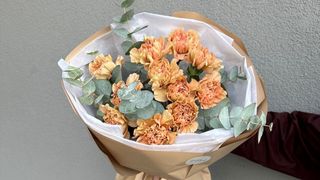 Bukiet Beżowych Goździków i Eukaliptus - 11 szt