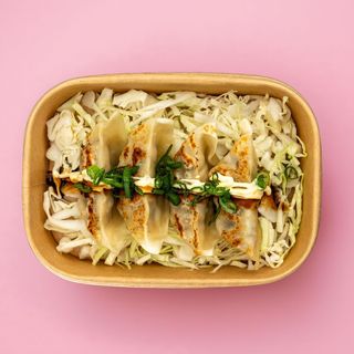 17 - OKO Gyoza di pollo 4pz.