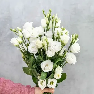 Bouquet de fleurs lisanthus blanc et feuillages 