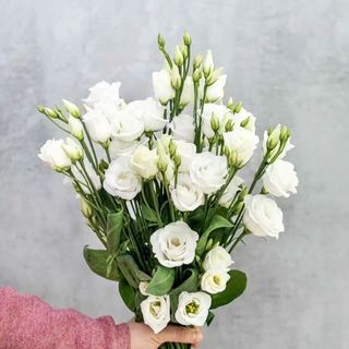 Bouquet de fleurs lisanthus blanc et feuillages 