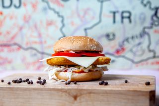 Chicken Burger (230gr)