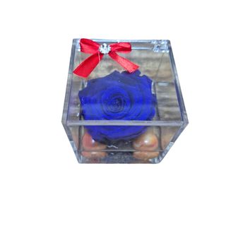 Rosa blu stabilizzata