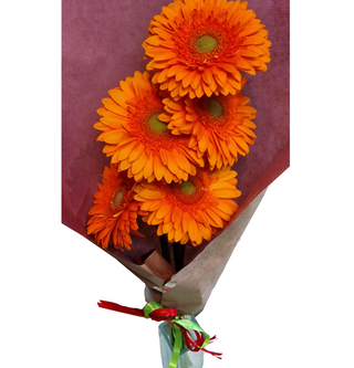 Molho – 5 Gerberas Laranjas