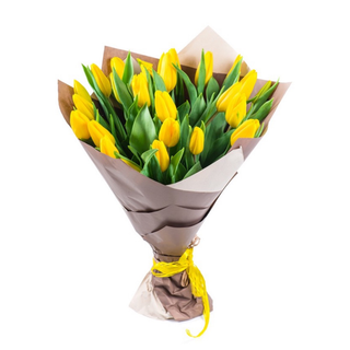 TULIPANI misto