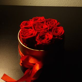 Rose stablizzate 