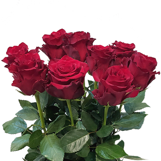 Bukiet z 9 róż czerwonych