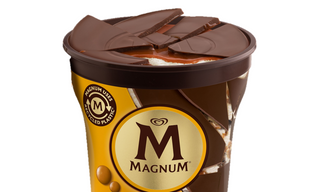 MAGNUM PINT DOUBLE SALTED CARAMEL