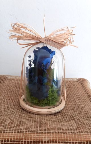 Mini Cúpula Rosa Eterna Azul
