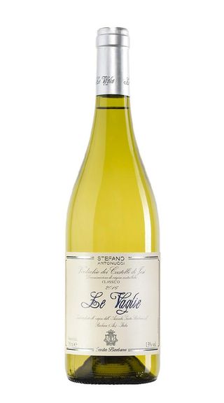 Verdicchio DOC Le Vaglie